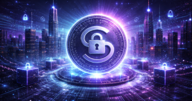 An illustration showing privacy and security in blockchain technology